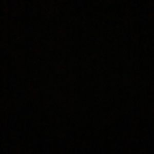 Meet your Posher, Sienna